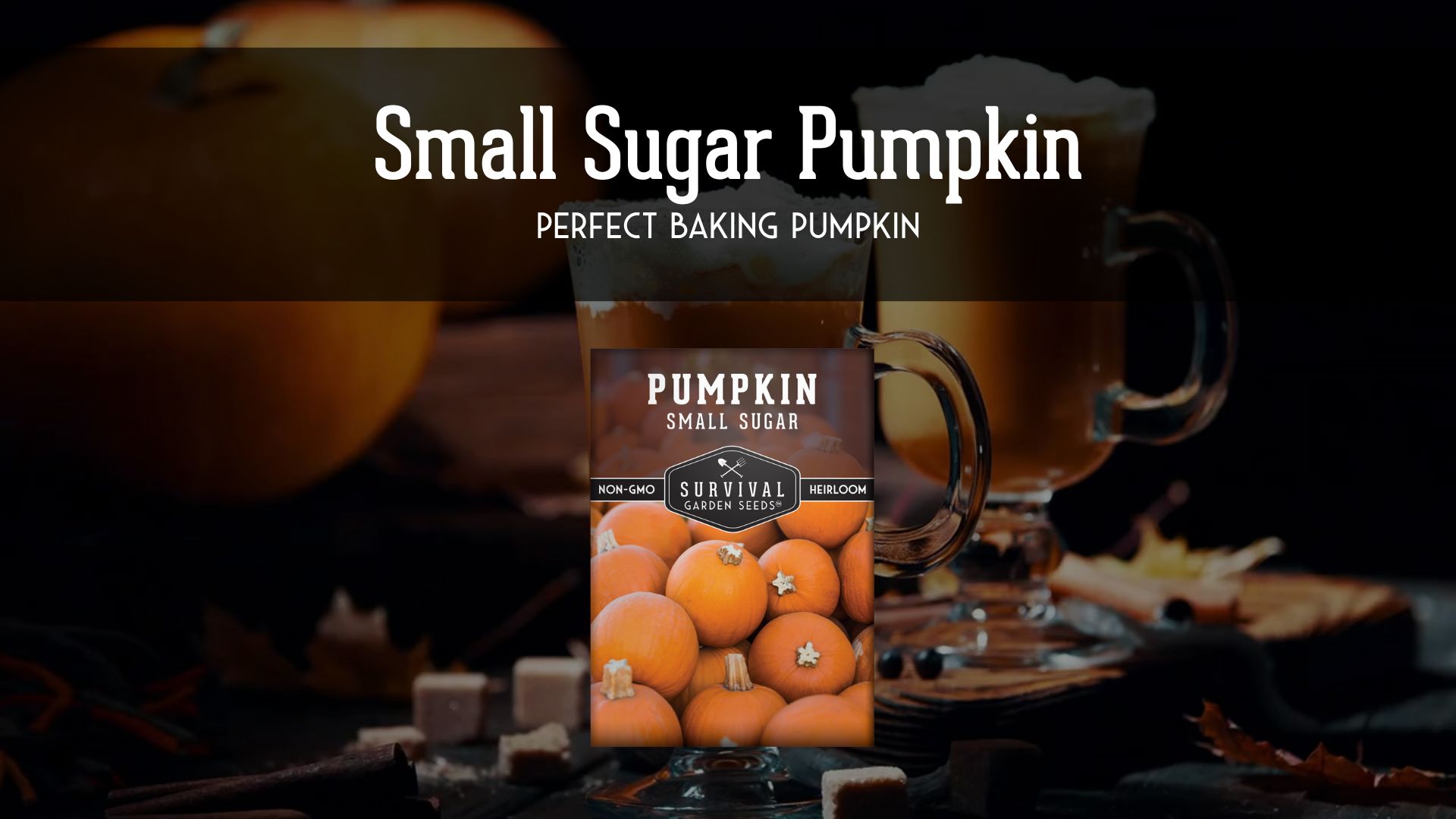 thumbnail video image 2 of 5 Packs Small Sugar Pumpkin Seeds - Non-GMO Heirloom Full Sun Annual Vegetable, 2 of 9