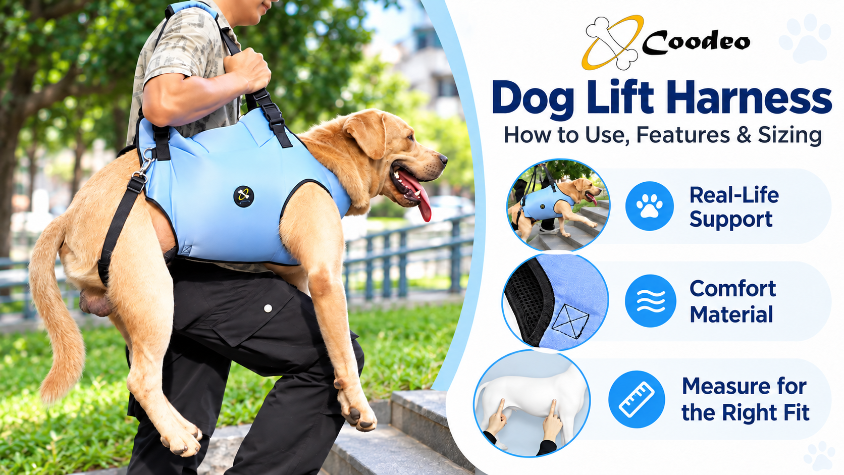 thumbnail video image 2 of Coodeo Rehabilitation Support Series Polyester Adjustable Dog Lifting Aid Full Body Harnesses, Blue, XS (13 in to 16 in Chest Size), 2 of 8