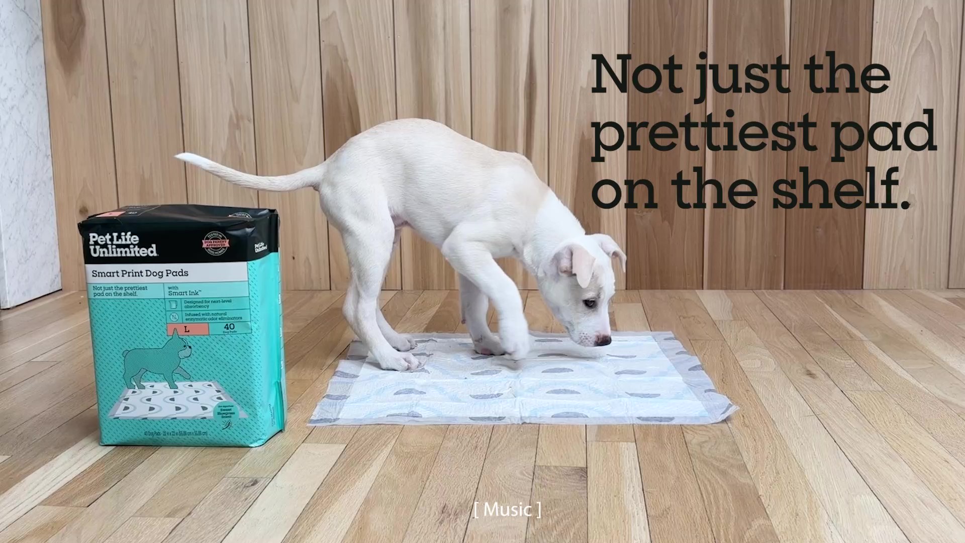 Pet Life Unlimited Smart Print Dog Pads, Large, 22 x 22, 40c