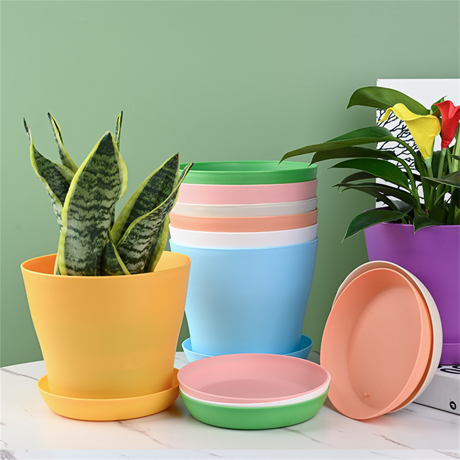 thumbnail video image 2 of 8Pcs Colorful Plastic Flower Pots Plastic Mini Nursery Pots Small Thick Plastic Plant Pots Nursery Seedling Planter Garden Flower Pot Container with Pallet/Trays for Flower, Succulent, Cactus, 2 of 6