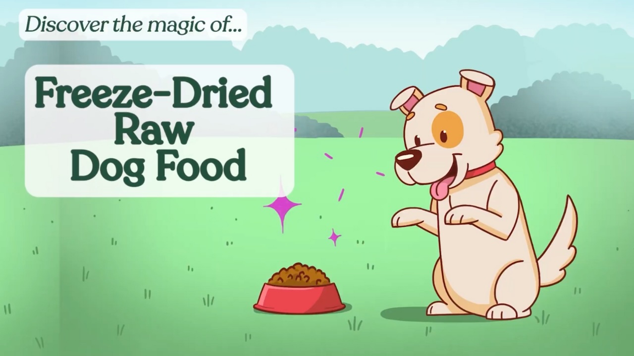 thumbnail video image 2 of 360 Pet Nutrition Multi Protein Flavor Freeze Dried Dog Food, 5 oz. Bag, 2 of 9