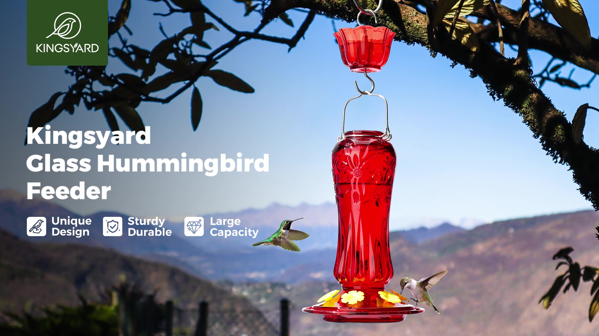 thumbnail video image 2 of Kingsyard Hummingbird Feeder for Outdoors Hanging, 25 Ounces Leak Proof, Glass Humming Bird Nectar Feeder with Ant Moat & 6 Bee Guard Feeding Ports, Turquoise, 2 of 10