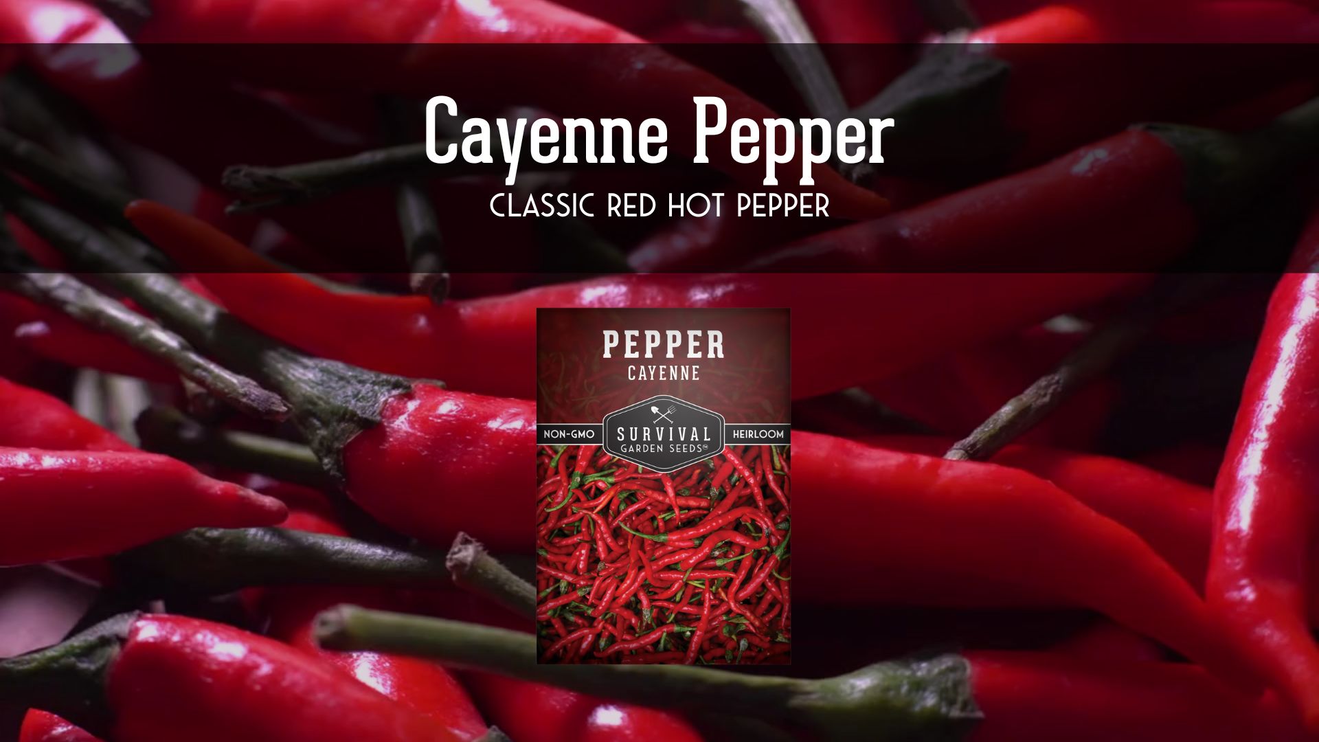 thumbnail video image 2 of 2 Packs Cayenne Pepper Seed - Non-GMO Heirloom Full Sun Annual Vegetable, 2 of 9