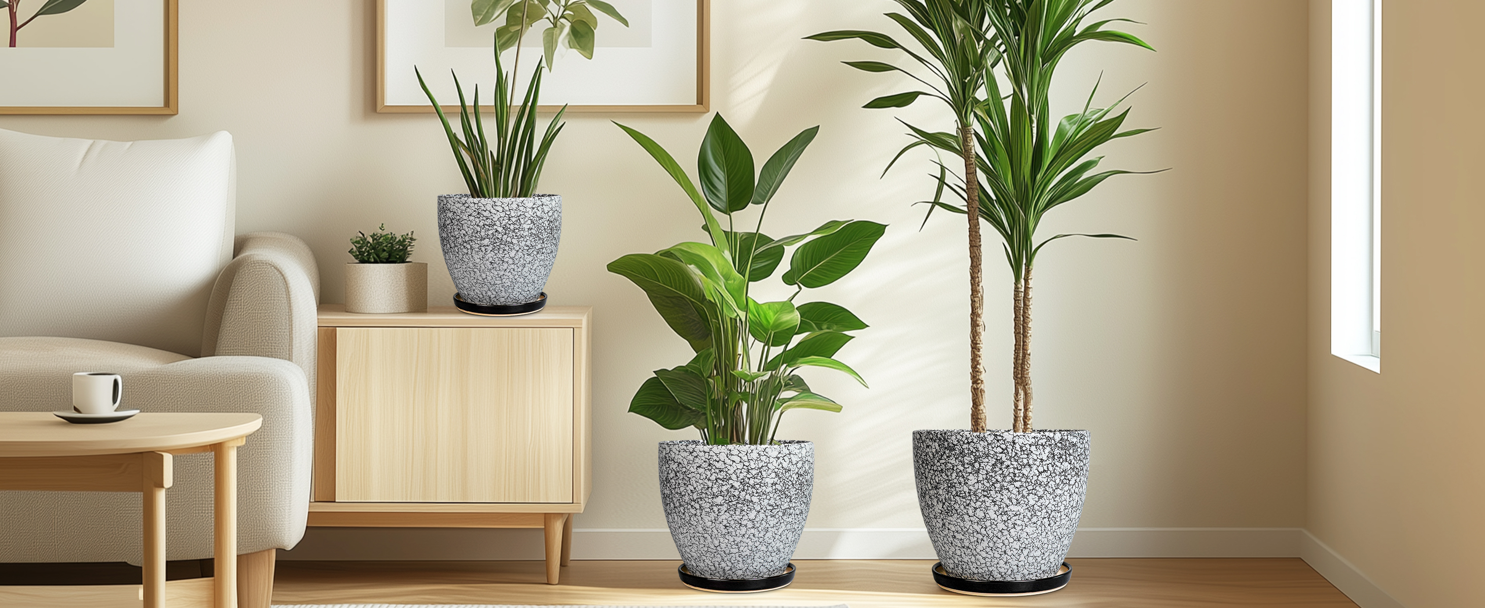 thumbnail video image 2 of Ceramic Planter Pots Set of 3 - 6/8/10 inch with Saucer Round Pots for Indoor Plants for ZZ Plants & Flowers Windowsill Decor Black Wood Crackle, 2 of 7