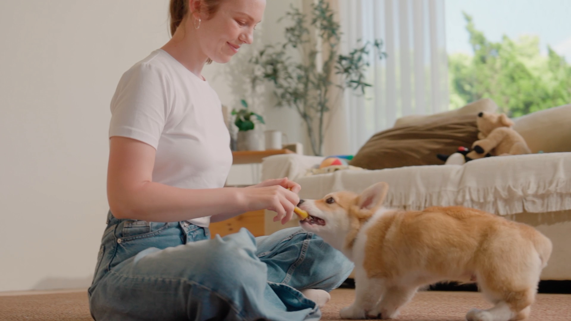 thumbnail video image 2 of N-Bone Puppy Teething Rings, Dried Chew Rings for Puppy Dogs, Pumpkin Flavor, 6 rings, 7.2 oz,  for Small and Large Dogs, Natural Puppy Chew Toys Alternative for Teething Discomfort, Made in USA, 2 of 20