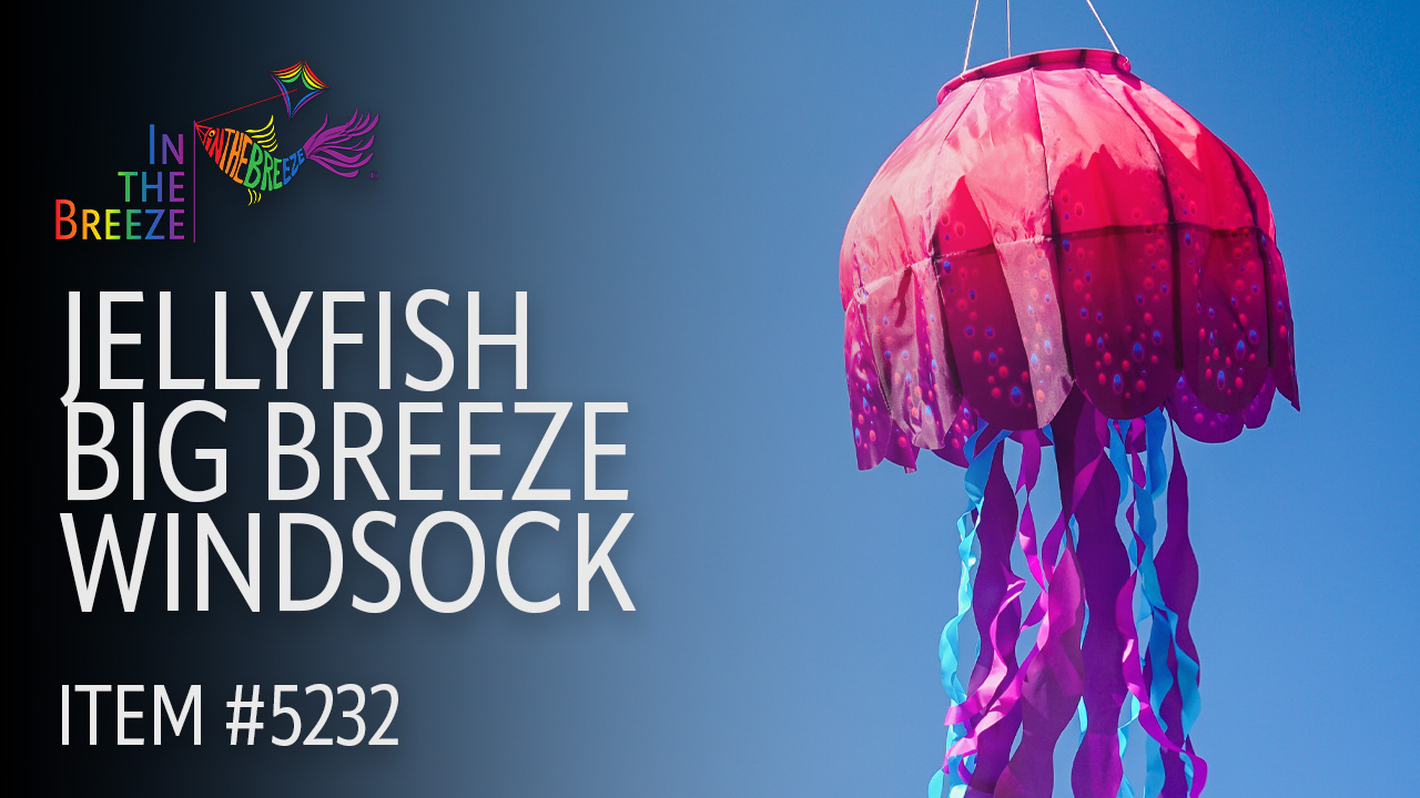 thumbnail video image 2 of In the Breeze 5232 — Jellyfish Big Breeze Windsock™ — Large, 3D Beach Windsock for Yards, Gardens, Patios, 2 of 8
