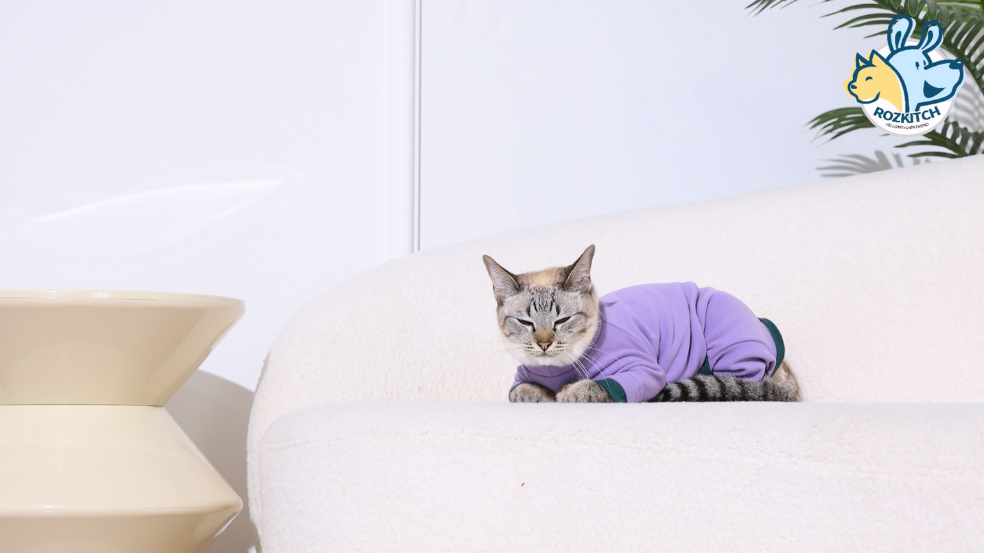 thumbnail video image 2 of ROZKITCH Sticky Hair Cat Clothes Soft Elastic Skin-friendly Cat Recovery Suit Full Body Cat Onesie Prevent Hair Loss Stop Licking Skin Disease (Purple, XL), 2 of 9