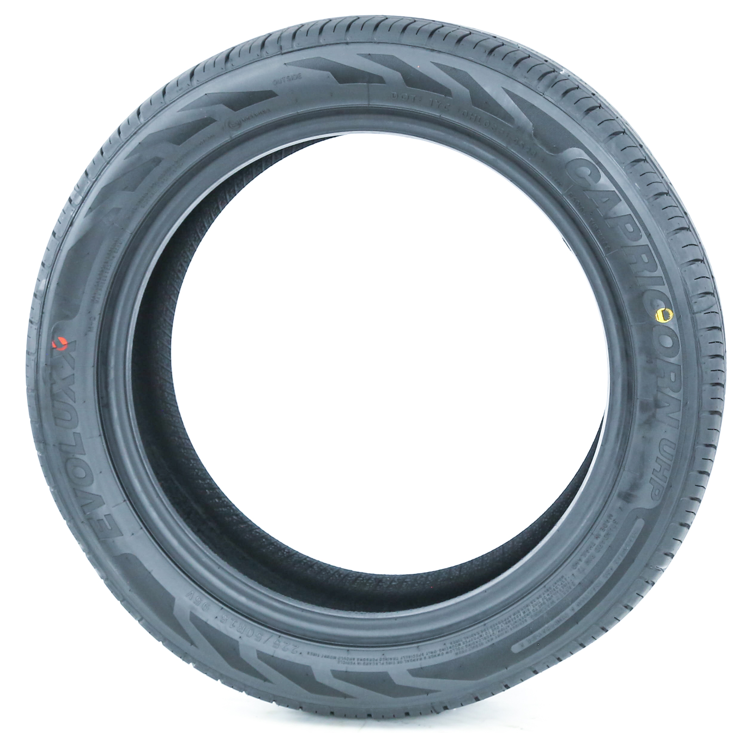 Evoluxx Capricorn UHP 225/50R18 Performance Tire - Fits 2008