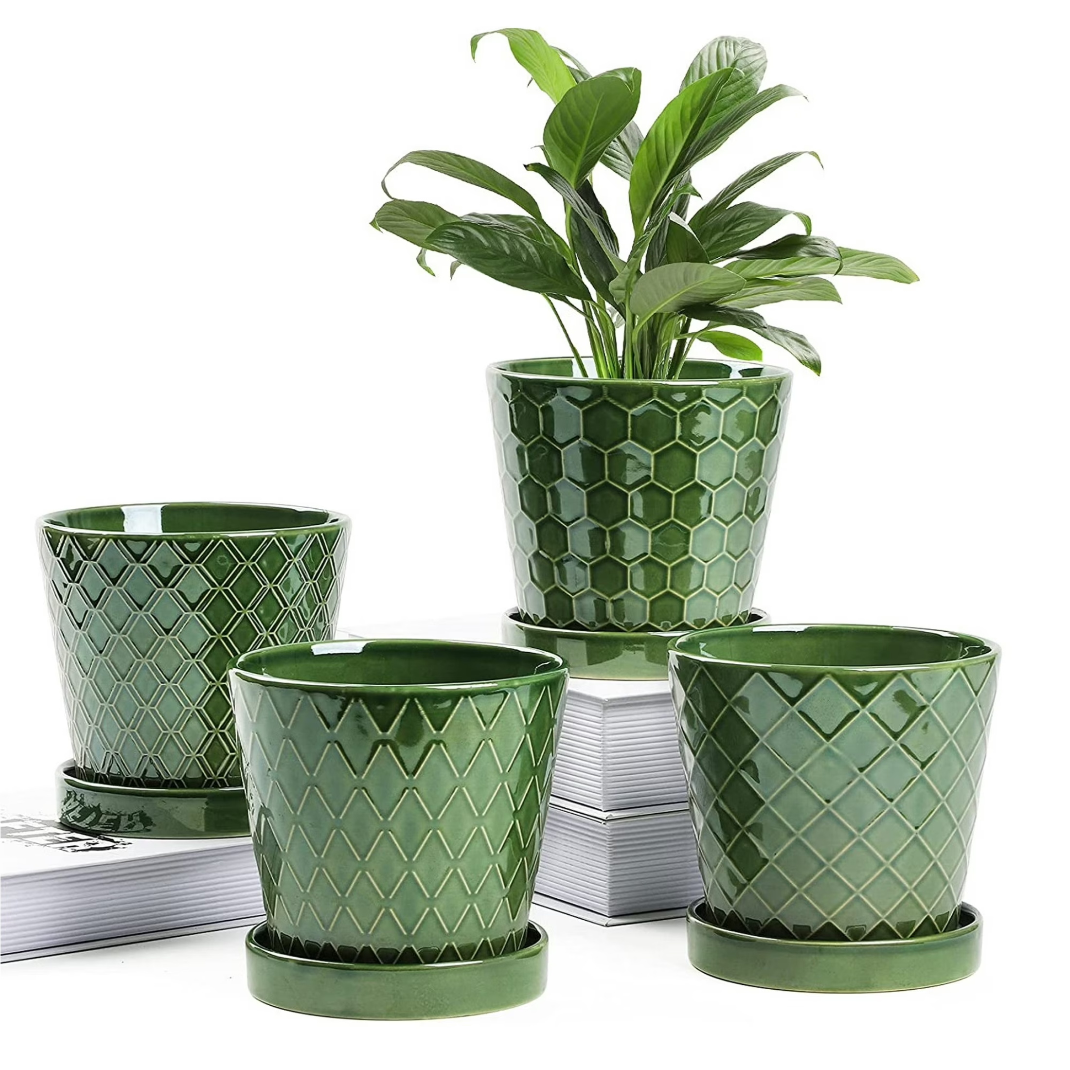 thumbnail video image 2 of BUYMAX 5" Ceramic plant pots with drainage hole and tray, 4-Pack-4-patterns, gardening home desktop office windowsill decoration， white flower pots indoor, 2 of 7
