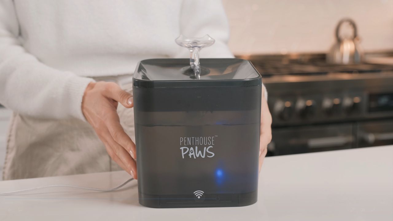 thumbnail video image 2 of Penthouse Paws Smart Pet Water Fountain, Ultra Quiet Pump, 5 Stage Filtration, Whisker Friendly Bowl, BPA Free, 2.2 L, Black, For Cat and Dog, 2 of 8