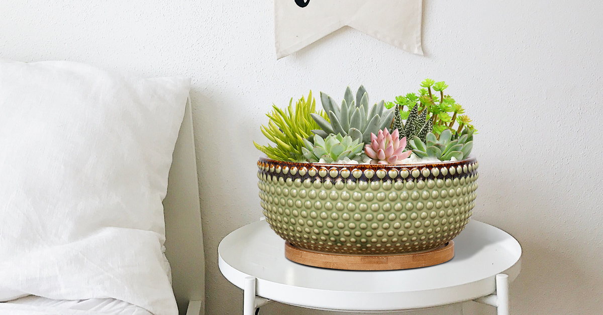 thumbnail video image 2 of 8 Inch Shallow Ceramic Flower Pot with Drainage & Bamboo Saucer,Modern Garden Pot for Indoor Plants, Succulents Christmas Gift Glaze-Green, 2 of 9