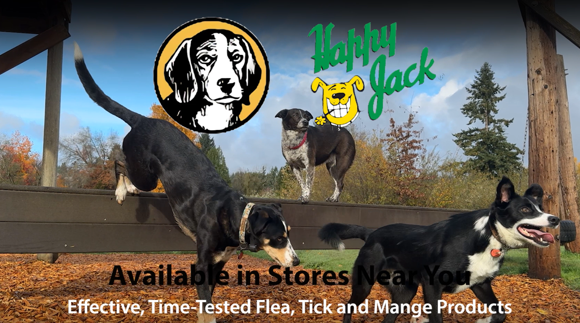 thumbnail video image 2 of Happy Jack Kennel Dip II Flea, Tick & Mange Treatment for Dogs, 16 oz, 2 of 8