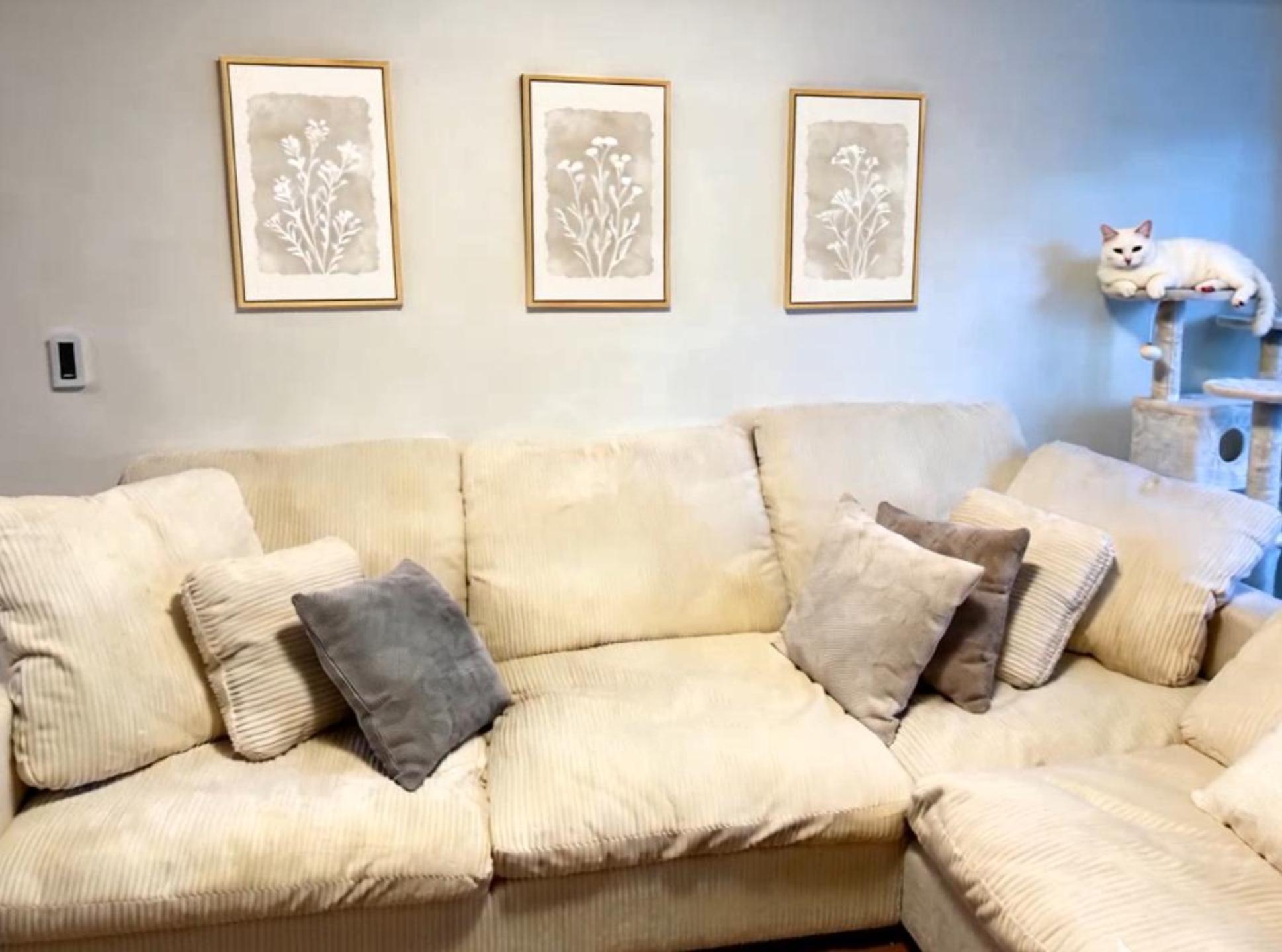 thumbnail video image 2 of Drsoum Vintage Landscape Wall Art 16x24in3pcs Natural Framed Grassland Meadow Wildflower Field Wall Prints Classic Retro Farmhouse Rustic Decorations, 2 of 7