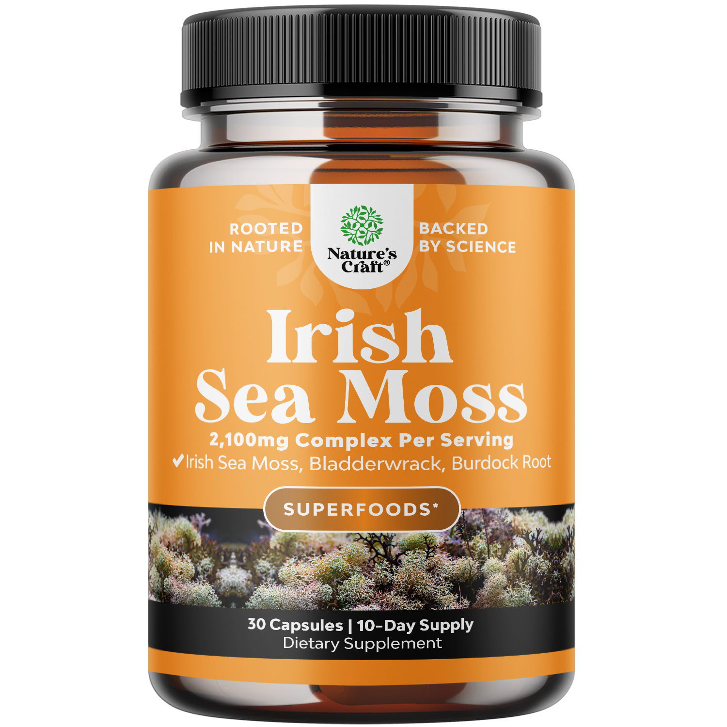 thumbnail video image 2 of Irish Sea Moss Capsules - Sea Moss and Bladderwrack Capsules with Burdock Root Superfood Blend for Immune Support Heart Health Fertility Joint Health and Thyroid Support for Women and Men, 2 of 10