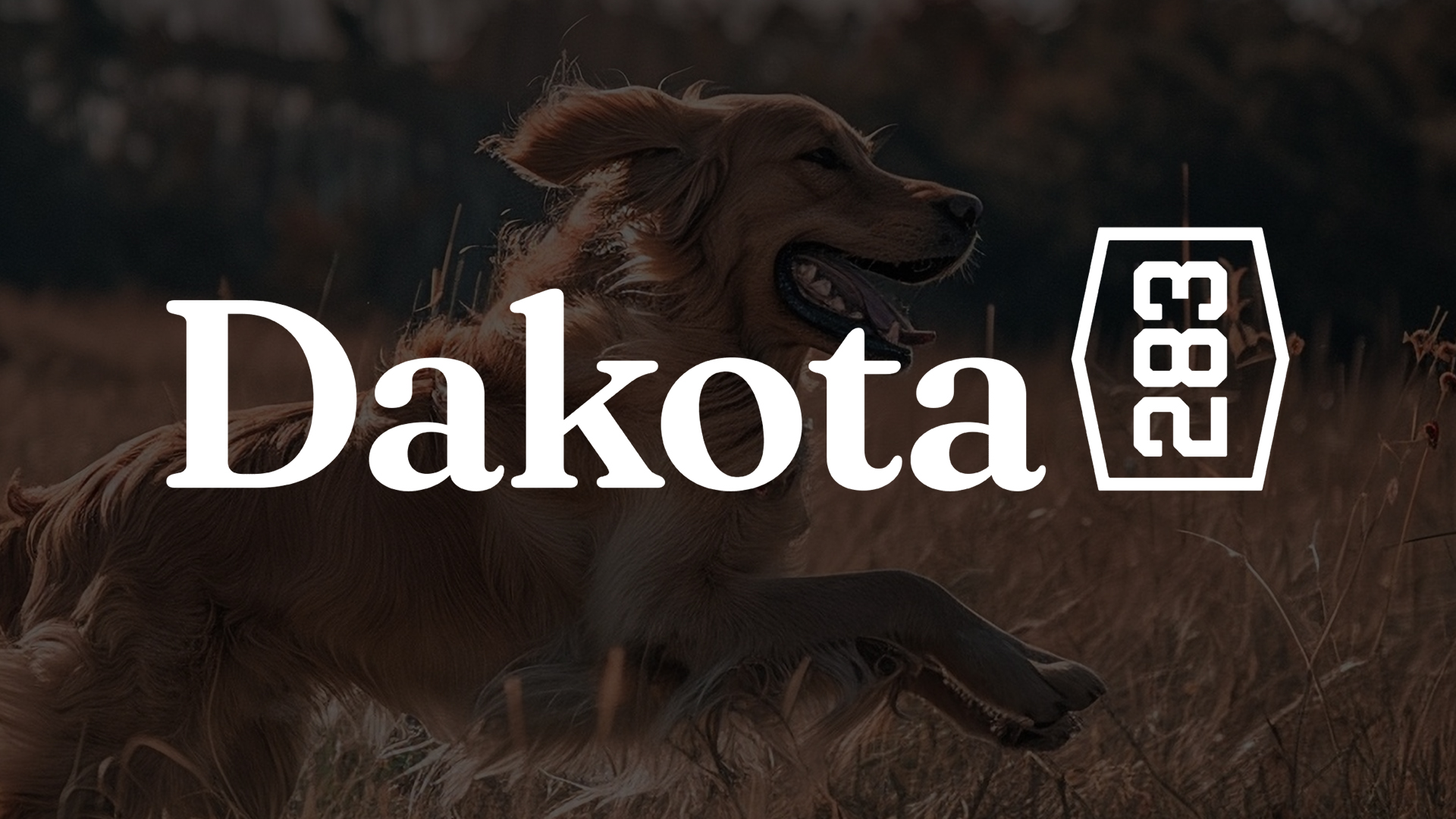 thumbnail video image 2 of Dakota 283 CRaTE - Canine Rough and Tough Economy Kennel - Large - Dark Granite, 2 of 6