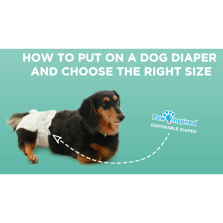 Paw Inspired Female Dog Diapers, Disposable Leak Resistant