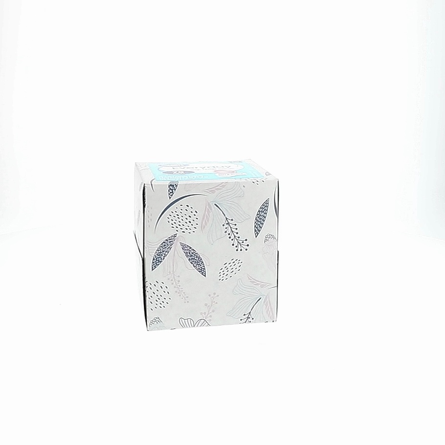 Great Value Everyday Soft Facial Tissues, 1 Cube, 70 Tissues per