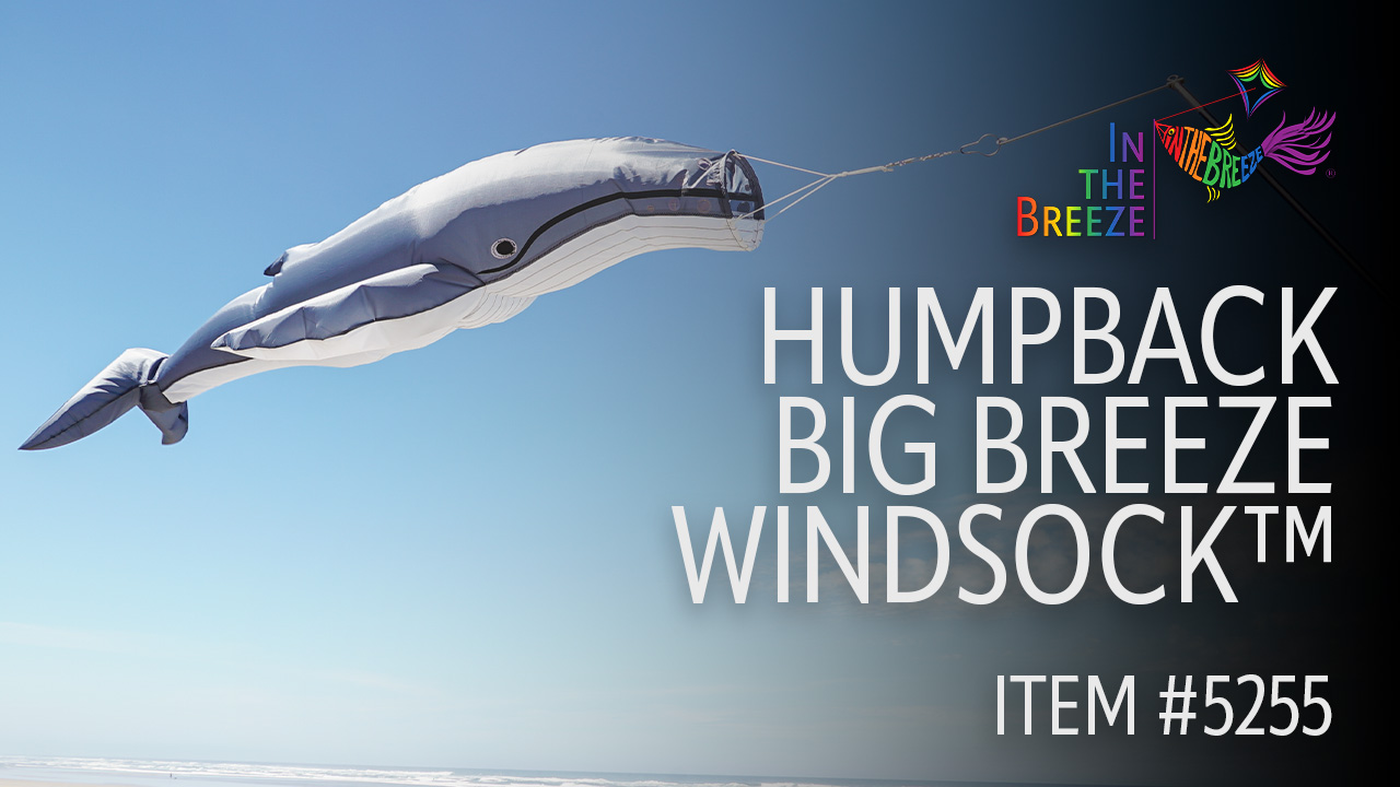 thumbnail video image 2 of In the Breeze 5255 — Humpback Whale Big Breeze Windsock™ — Large, 3D Beach Windsock for Yards, Gardens, Patios, 2 of 9