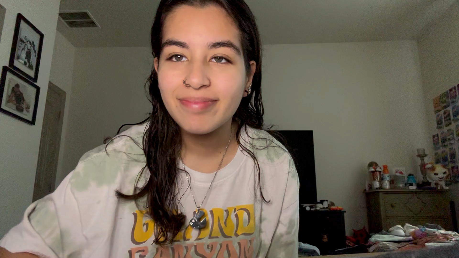 thumbnail video image 2 of iPetba Foldable Dog Ramp for Bed & Sofa, Grey Dog Ramp for Small Dogs Compact Size Adjustable Height 21”, Up to 35 lbs, 2 of 15