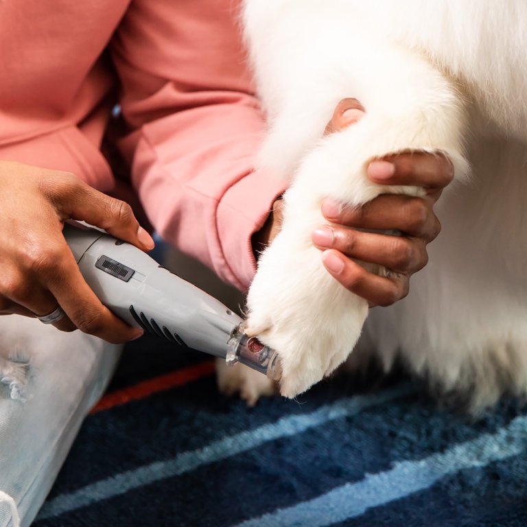 Nail Clipper Furminator Nail Grinder For Dogs And Cats FURminator