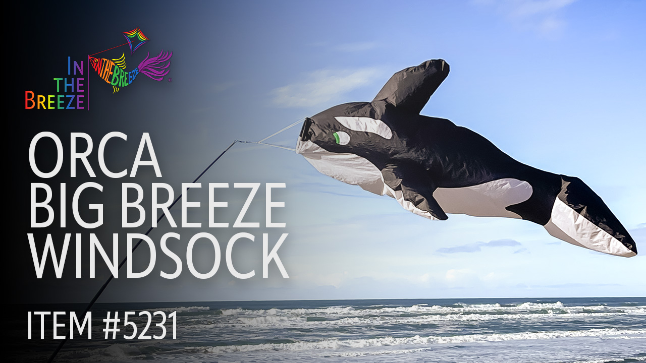 thumbnail video image 2 of In the Breeze 5231 — Orca Big Breeze Windsock™ — Large, 3D Beach Windsock for Yards, Gardens, Patios, 2 of 7