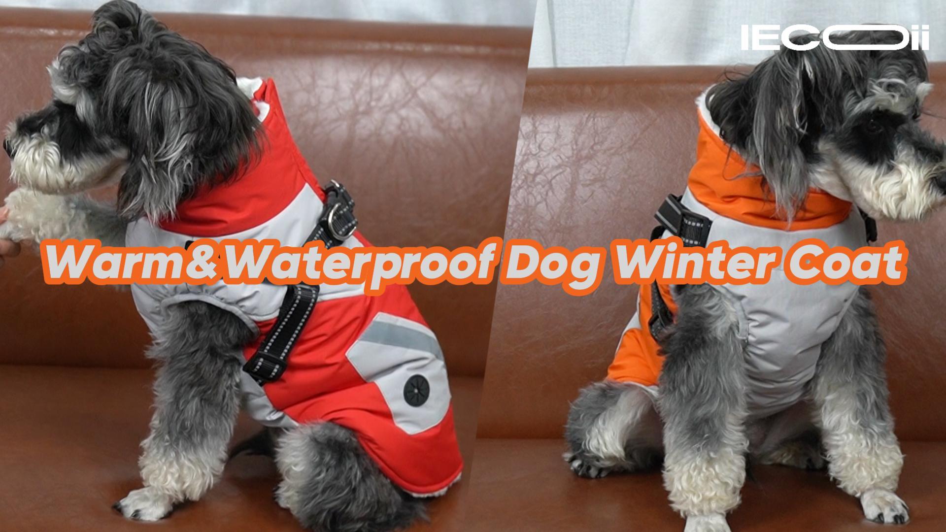 thumbnail video image 2 of IECOii Waterproof Dog Winter Coat Reflective Dog Jacket with Harness Fleece Lined Snow Jacket for Large Dogs,Red,2XL, 2 of 8