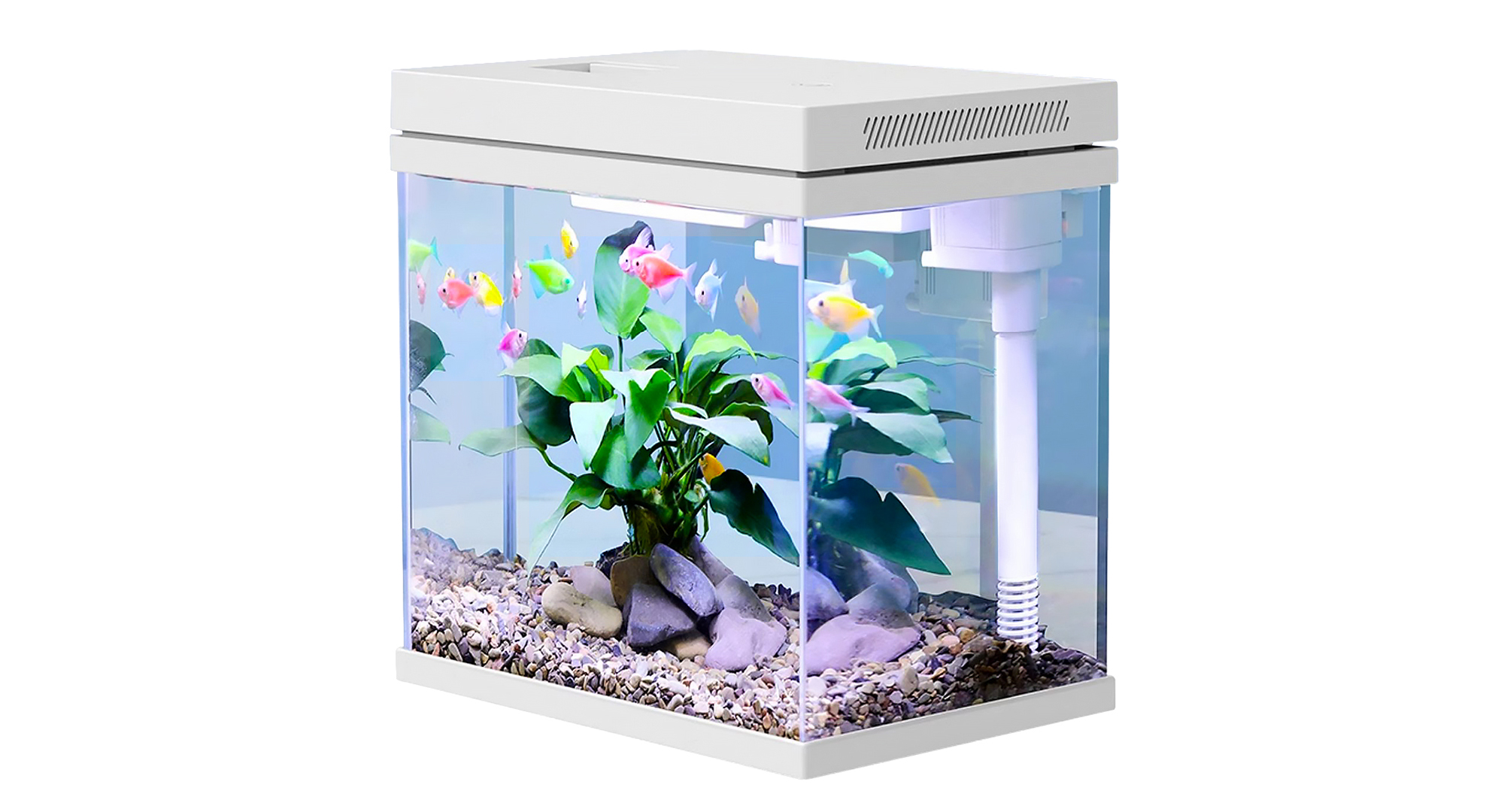 thumbnail video image 2 of Fish Tank, 4 Gallon Nano-Aquarium, Upgrade Filter System and LED Light, for Freshwater & Marine, Filter Balls Included (4 Gal), 2 of 7