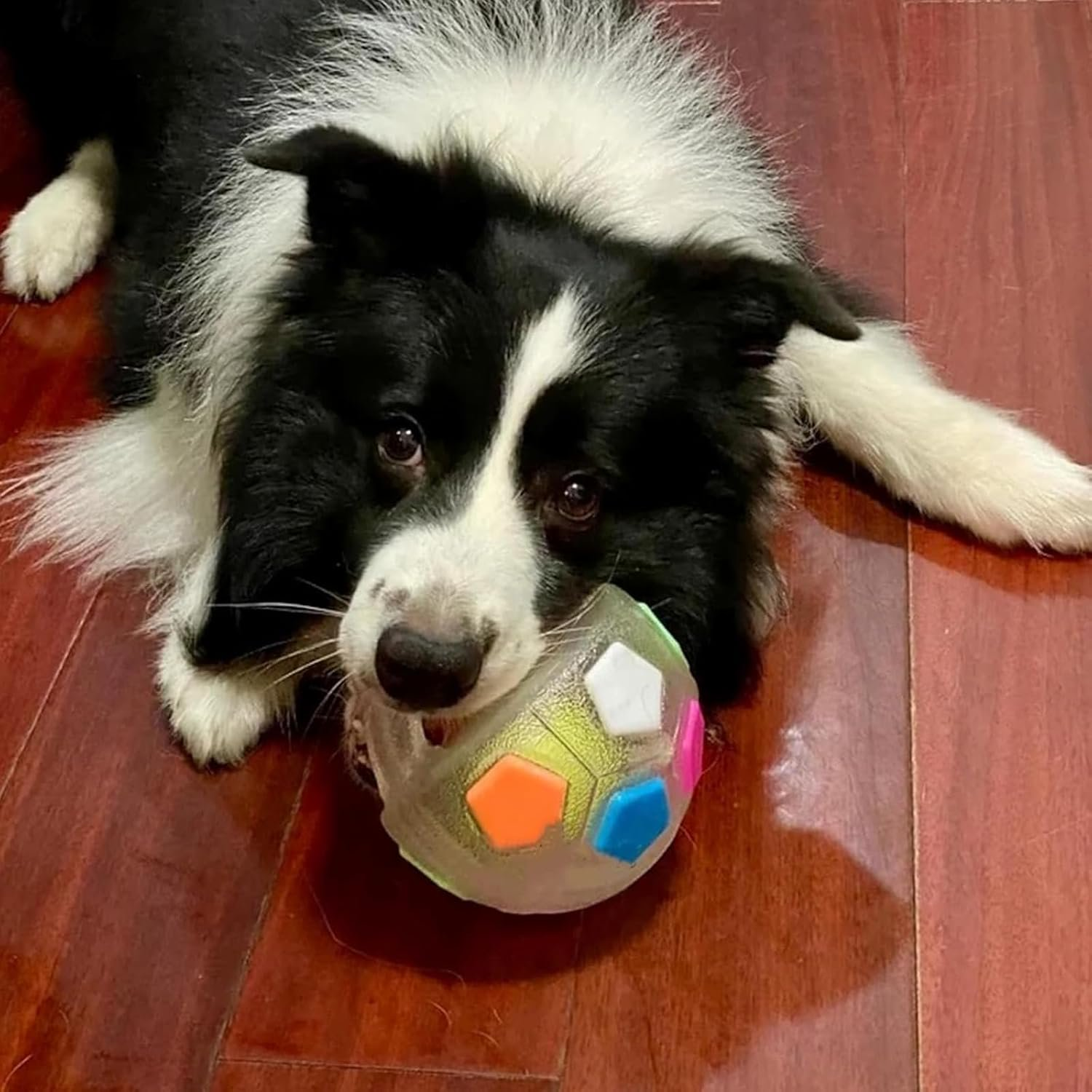 thumbnail video image 2 of The Dog Calming Ball, 2026 New Interactive Dog Toys with Squeaker, Chewable Ball with Handle, for Small Medium Large Dogs Playing, 2 of 10