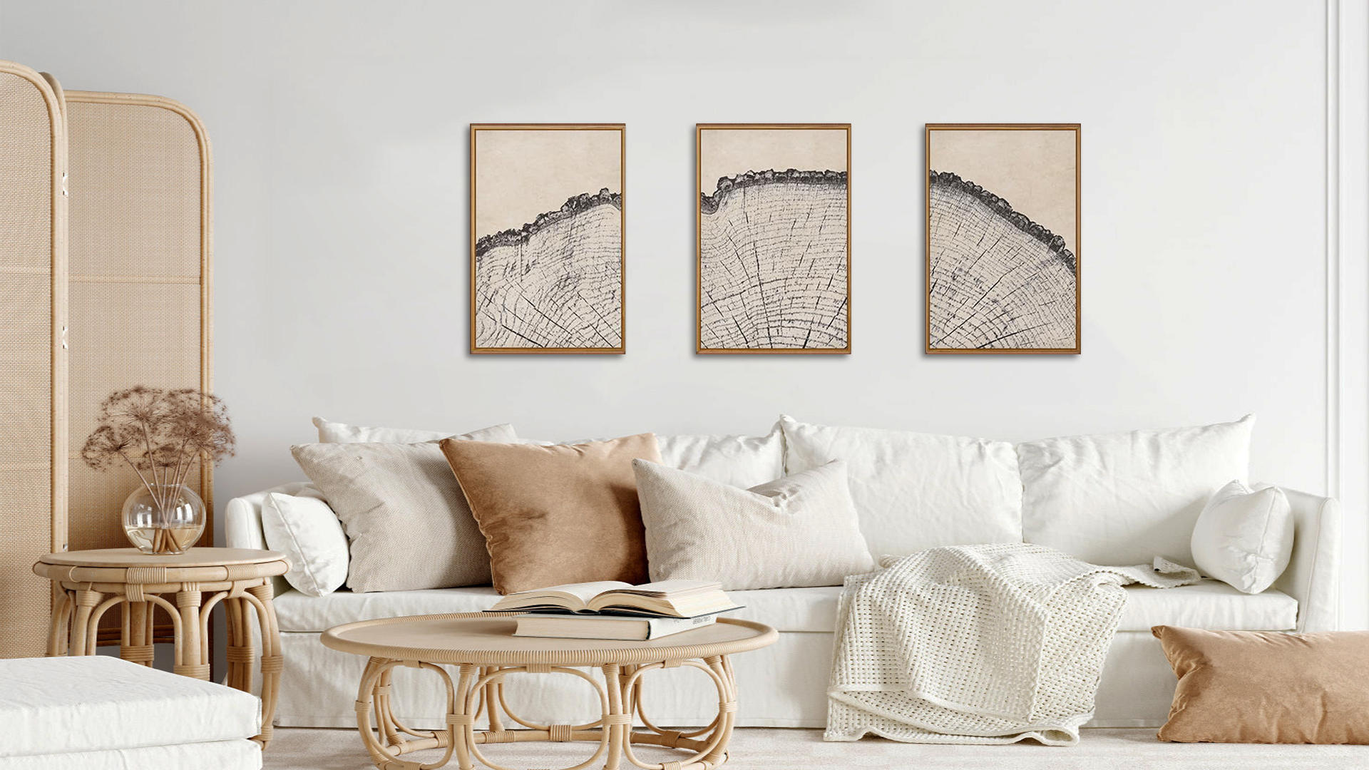 thumbnail video image 2 of TOARTi Tree Canvas Wall Art Wood Tree Rings Nature-Inspired Framed Print Modern Minimalist Abstract Decor Set of 3 for Living Room Bedroom Office 16x24 Inch, 2 of 11