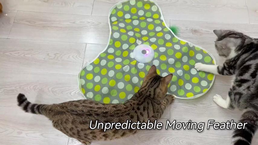 thumbnail video image 2 of URRU Interactive Cat Toys for Indoor Cats,Hide and Seek Interactive Cat Toy with Real Mouse Squeaky & Moving Concealed Feathers,Touch Activated Cat Kitten Toy Exercise Toy for Indoor Bored Adult Cat, 2 of 8