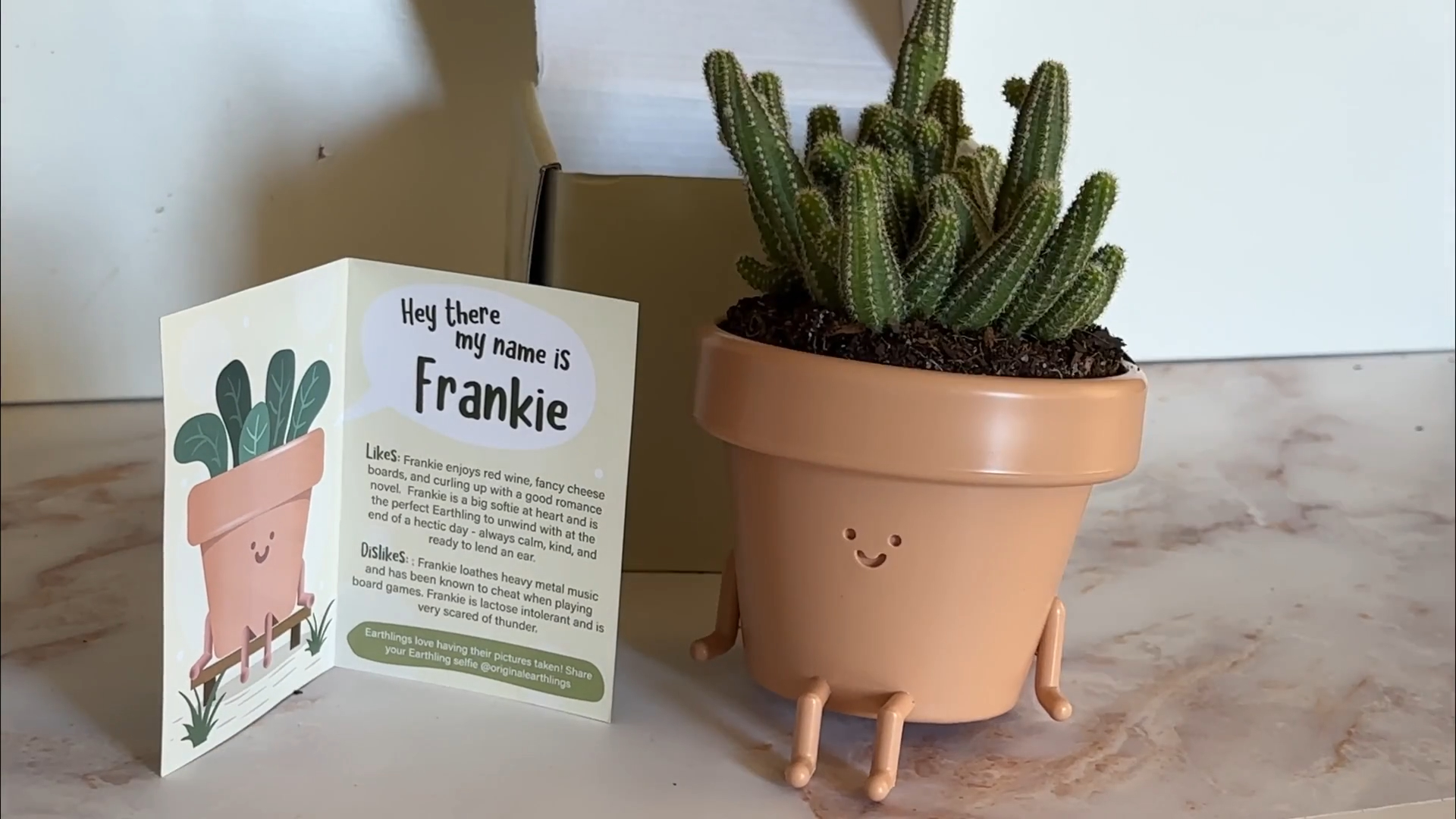 thumbnail video image 2 of Original Earthlings Sitting Plant Pot - 4 inch Small Plastic Indoor Planter with Drainage, 2 of 8