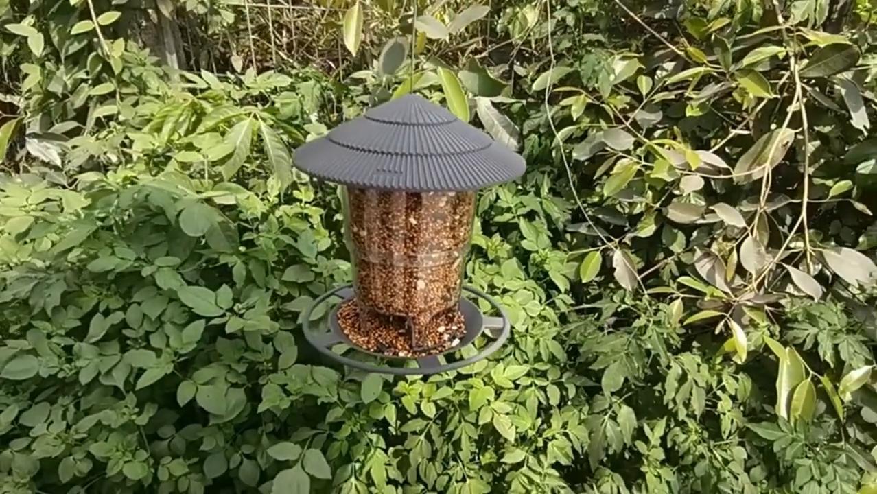 thumbnail video image 2 of NEWEEN Bird Feeder for Outdoor Hanging, 2.2 lbs Capacity Latch Feature Heavy Duty Water Resistance Squirrel-Proof Bird Feeders Wild Bird Seed for Outside Garden Yard Decoration Green, 2 of 10