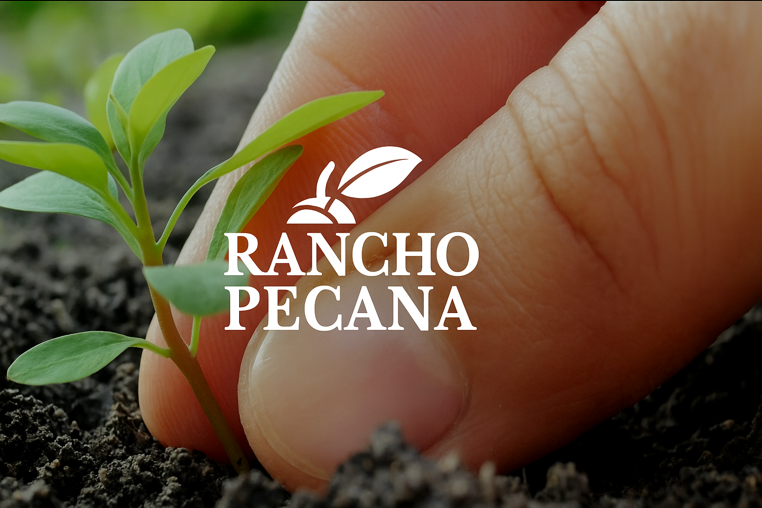 thumbnail video image 2 of Rancho Pecana Premium Pecan Pieces 2 LB (32 Oz), Gluten Free, Non-GMO, Chopped Pecans, Plant Proteins, 2 of 13