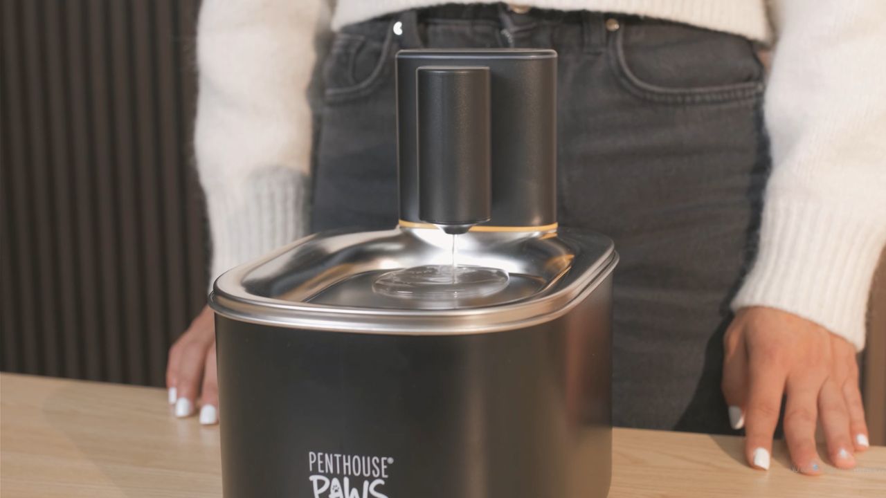 thumbnail video image 2 of Penthouse Paws Smart Wireless Water Fountain App Control, Motion Sensor, 45-Days Life, 5-Level UV Filtration, For Cat & Dog, Portable Pet Drinking Fountain, 3.5L, White, 2 of 10