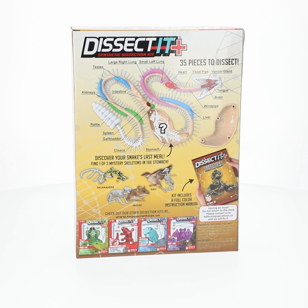 Dissect It Rattlesnake Superlab Dissection Kit for Kids, Realistic
