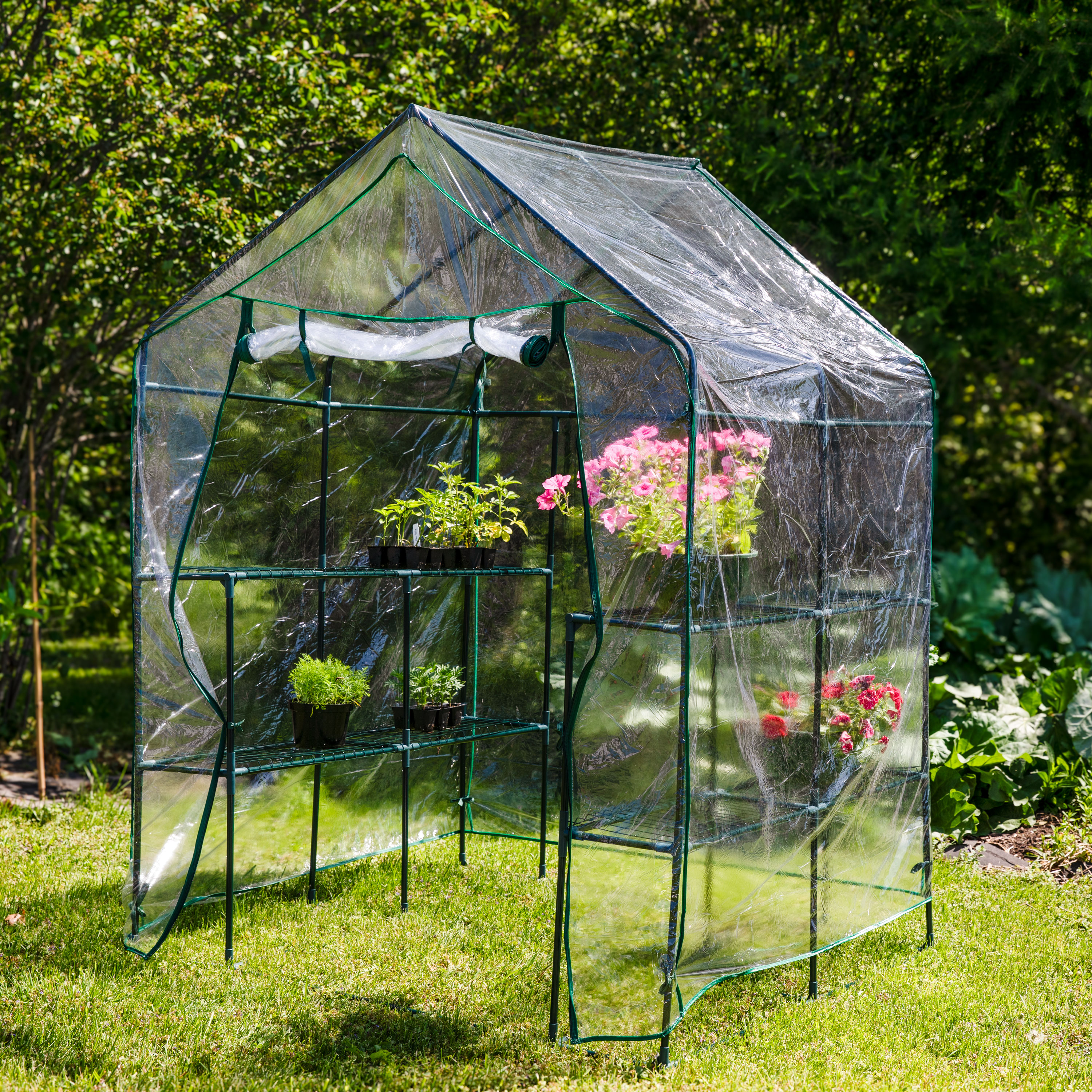 thumbnail video image 2 of Sunnydaze 4.5' x 4.5' x 6.5' Outdoor Portable Walk-In Greenhouse with 4 Shelves, Clear Cover, 2 of 10