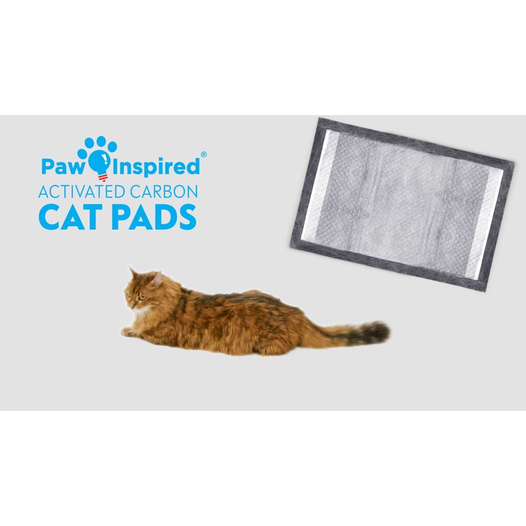 Training Pads Con Adhesivo GENERICO - Foto 3