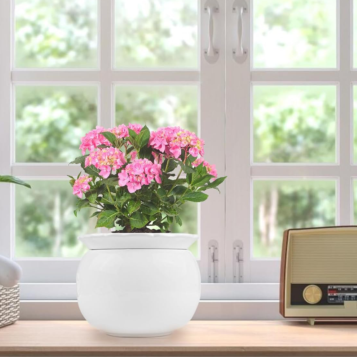 thumbnail video image 2 of ‌EFISPSS 6" Self-Watering Ceramic Planter for African Violets - Red Gradient | Stylish Home Decor‌, 2 of 13