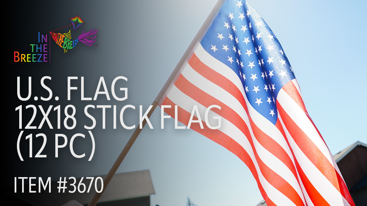 thumbnail video image 2 of In the Breeze 3670 — U.S.A. Stick Flag, 12" x 18", 12 Pieces — Fun Hand-Held Patriotic Decorative Accents, 2 of 6