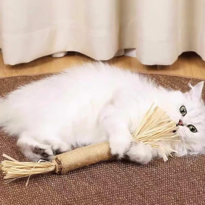 thumbnail video image 2 of OEIKPFN Cat Chew Toys, 12PCS Chew Rope & Silvervine Sticks for Bored Indoor Adult Cats, Interactive Catnip Toys for Cats for Teeth Cleaning, 2 of 7