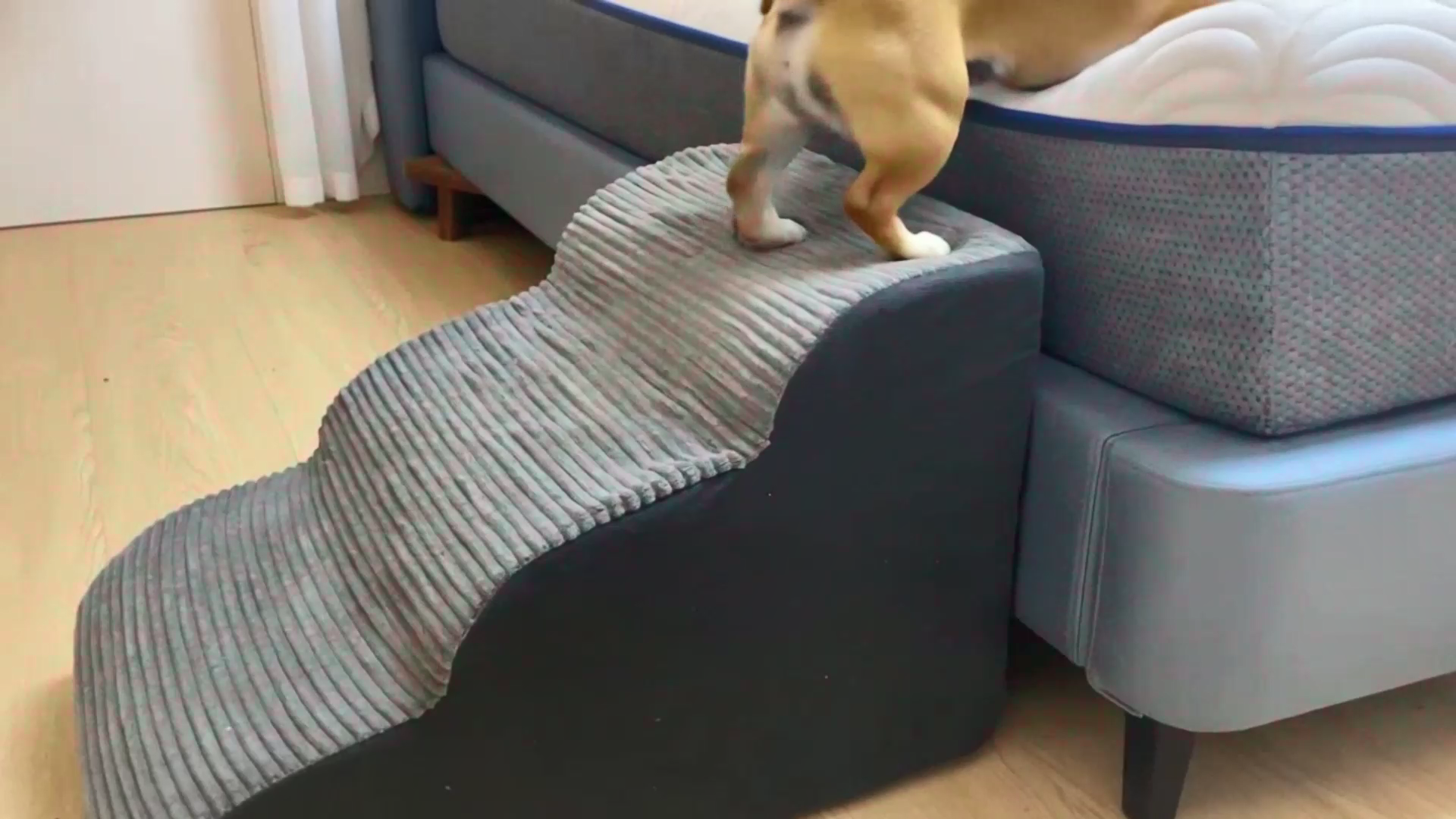 thumbnail video image 2 of Dog Stairs & Ramp for Beds and Couches, Dog Stairs for Small Dogs with Removable Washable Cover, 3-Step Anti-Slip Pet Stairs, Gray, 2 of 7