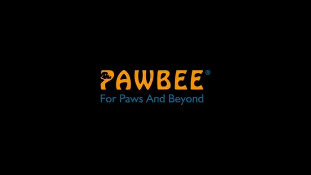 thumbnail video image 2 of PAWBEE Super-Sturdy Cat Window Perch with Comfy Plush Cushion, Window Mounted Hammock, 2 of 8