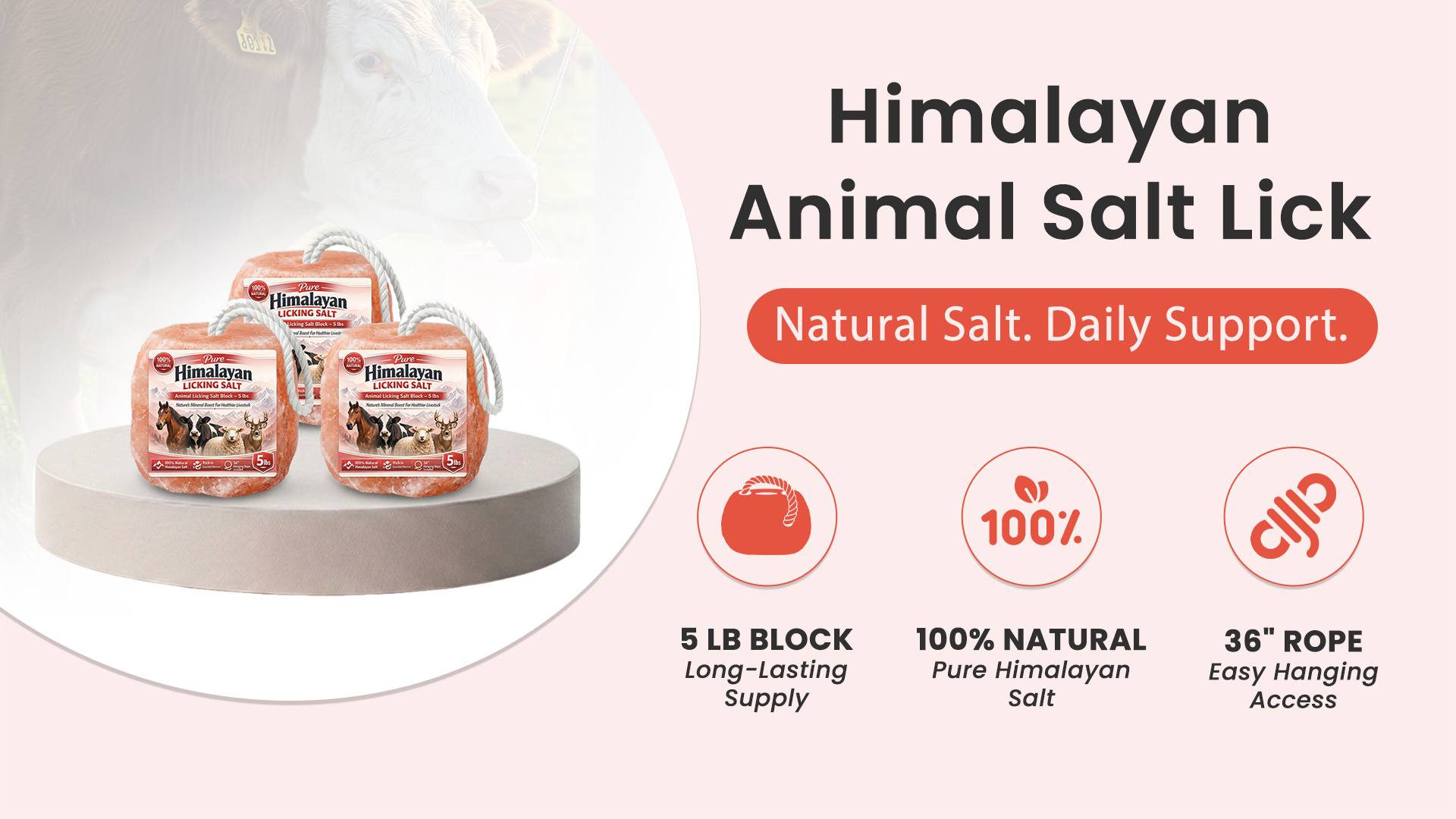 Pink Salt Wall, Himalayan Salt Blocks, 11 lbs, with Rope - Walmart.com