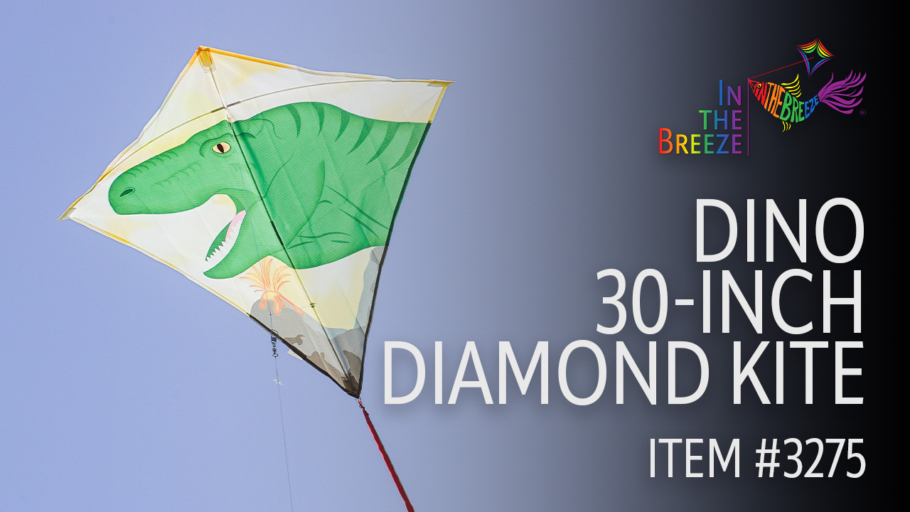 thumbnail video image 2 of In the Breeze Dino 30-inch Diamond Kite - Fun, Easy Flying Kite, 2 of 8