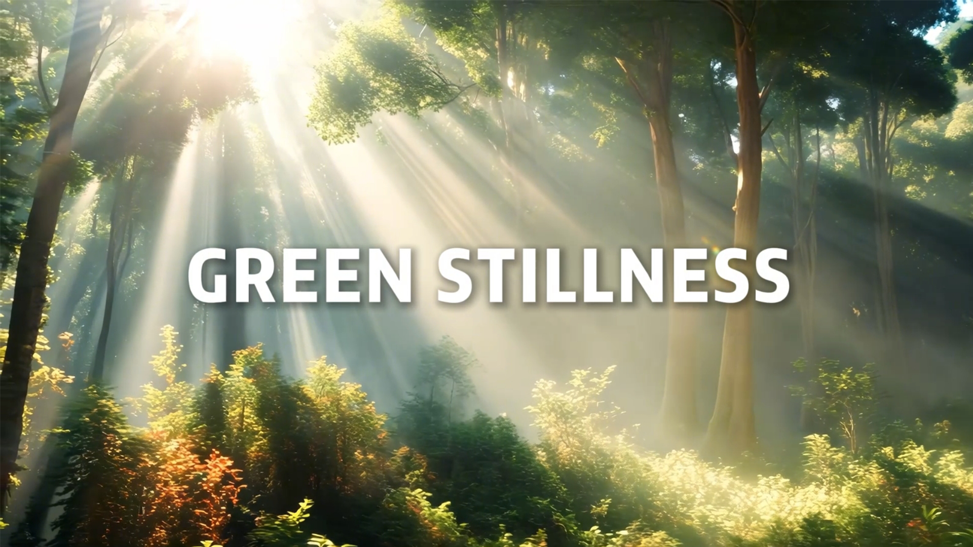 thumbnail video image 2 of LYCAQL Brazilian Wood Mini Brazilian Wood Lucky Wood 5cm High Brazilian Wood Kit Desktop Ornament Home Decoration Log + Monk Doll + Basin, 2 of 9