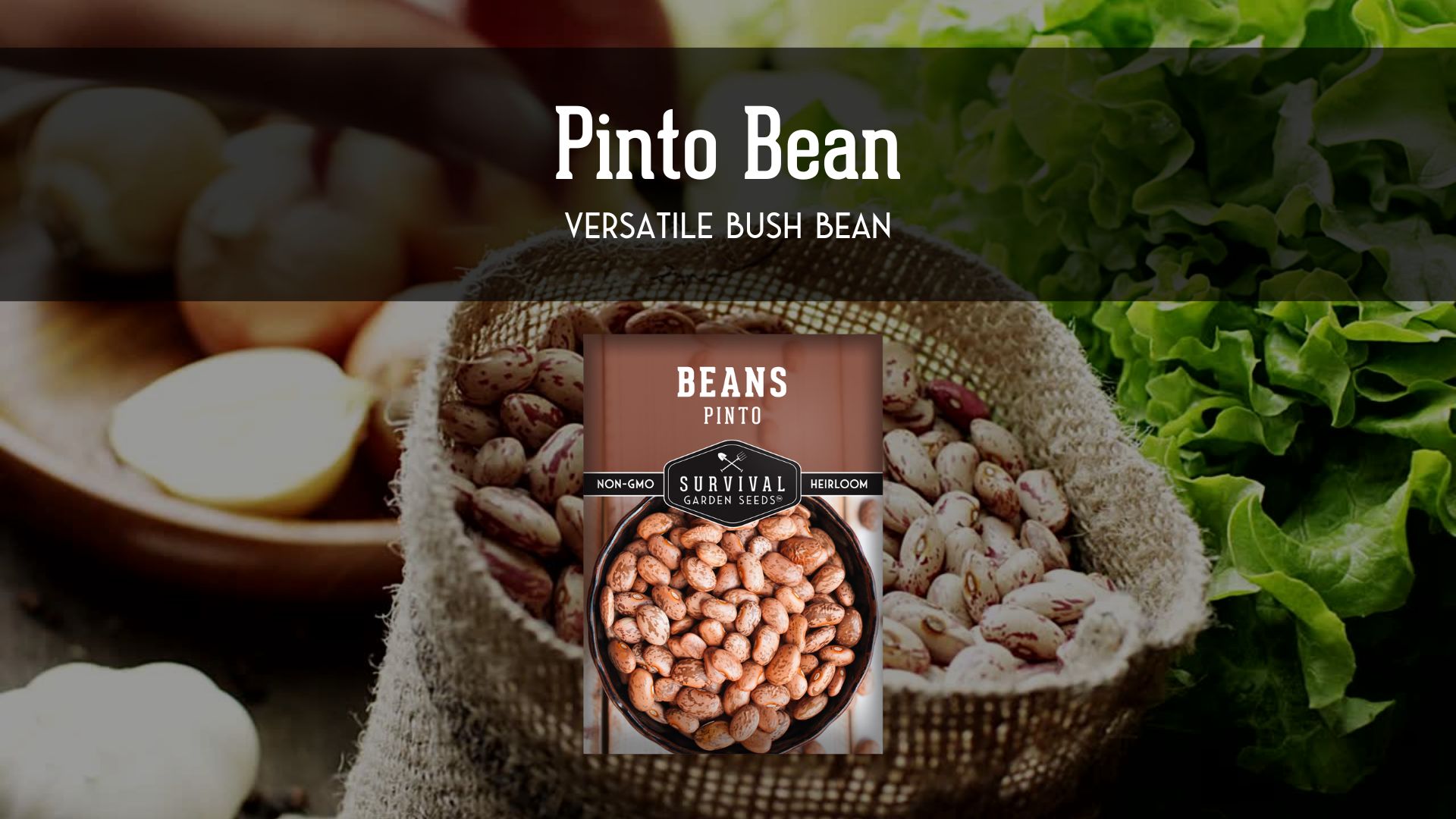 thumbnail video image 2 of 3 Packs Pinto Bean Seeds - Mottled / Peruano Beans - Non-GMO Heirloom Annual Full Sun - Open-Pollinated & Untreated, 2 of 9