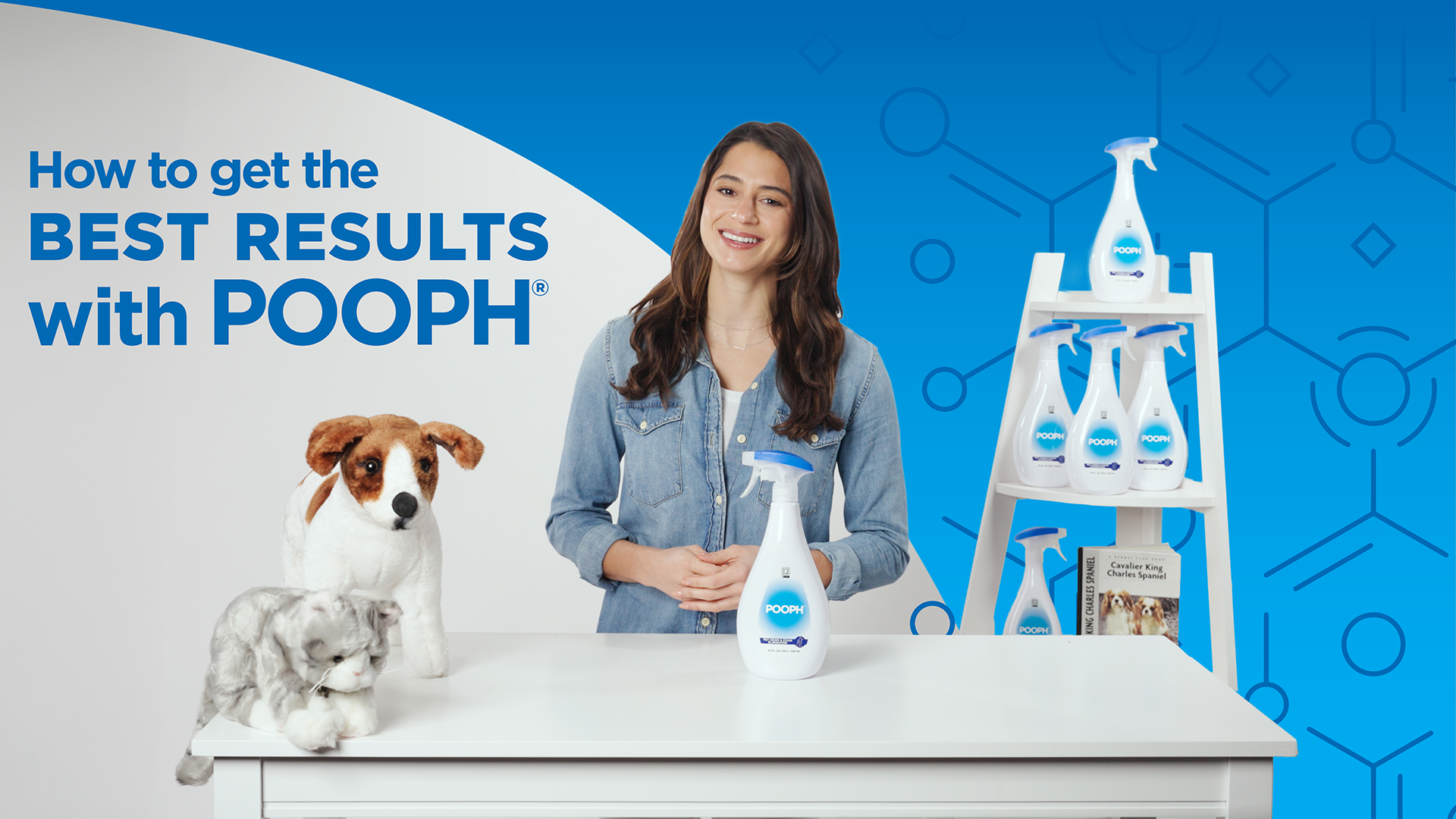POOPH Pet Odor & Stain Eliminator Spray 20oz