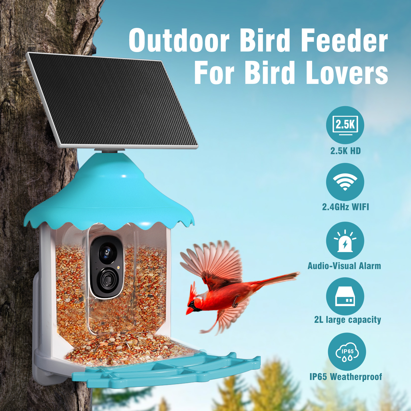 thumbnail video image 2 of CINMOORE No-Monthly-Fees Solar Bird Feeder with 4MP Camera, Free AI Birds Species Identification, 2.5K Smart Bird House with Cam, Instant Arrival Alerts, Squirrel-Proof, Ideal Gift for Birds Lover, 2 of 9