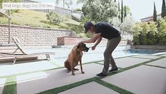 thumbnail video image 2 of SPOT Bam-Bones Plus Chew Bones for Dogs, T-Shape, Chicken Flavor, Dog Chew Toy for Aggressive Chewers, Adult Dogs & Teething Puppies Under 30lbs, 4", 2 of 13