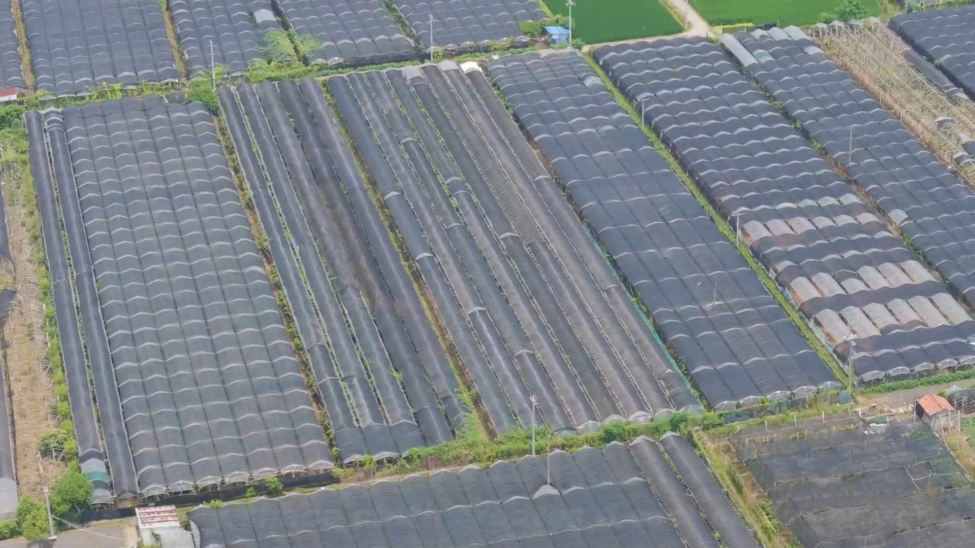 thumbnail video image 2 of LOVE STORY 55% Sunblock Shade Cloth 6.5' x 10' Mesh Cover for Greenhouse Garden Patio, Black, 2 of 7